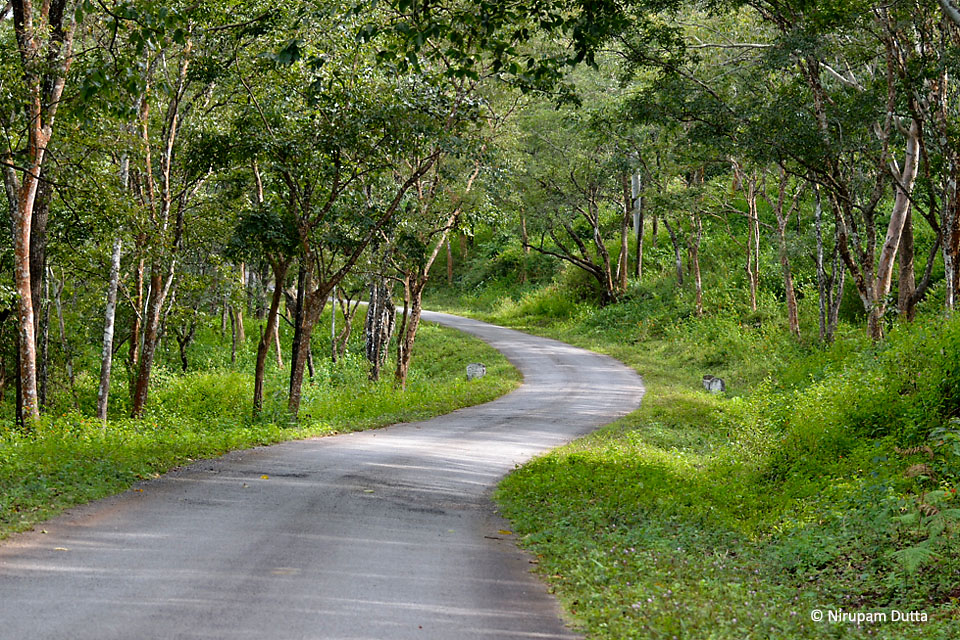 Top 7 Hill Stations In Karnataka You Must Visit - Skyscanner India